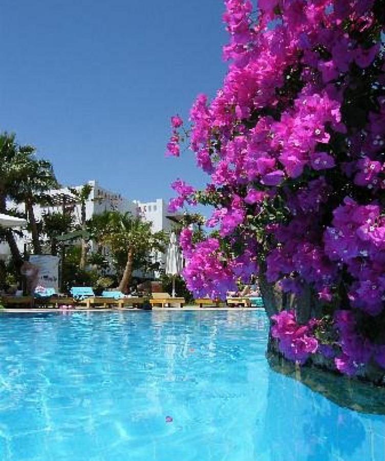 Delta Sharm Holiday Екстериор снимка
