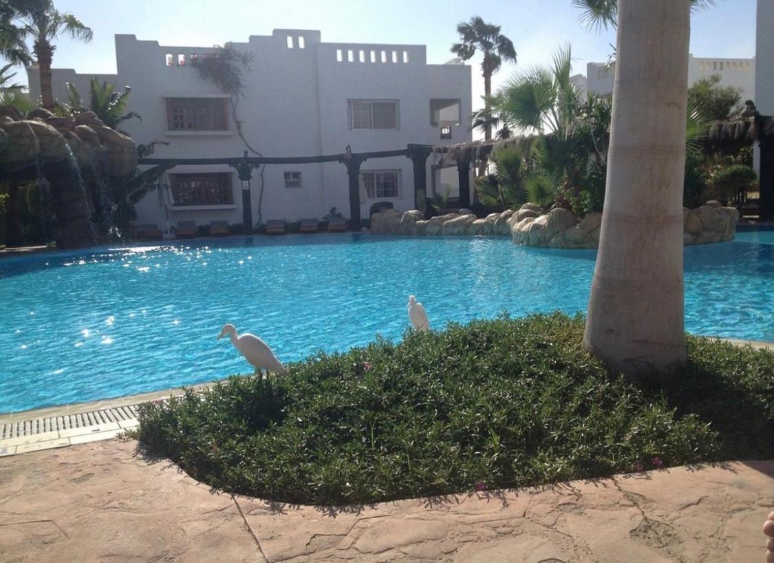 Delta Sharm Holiday Екстериор снимка